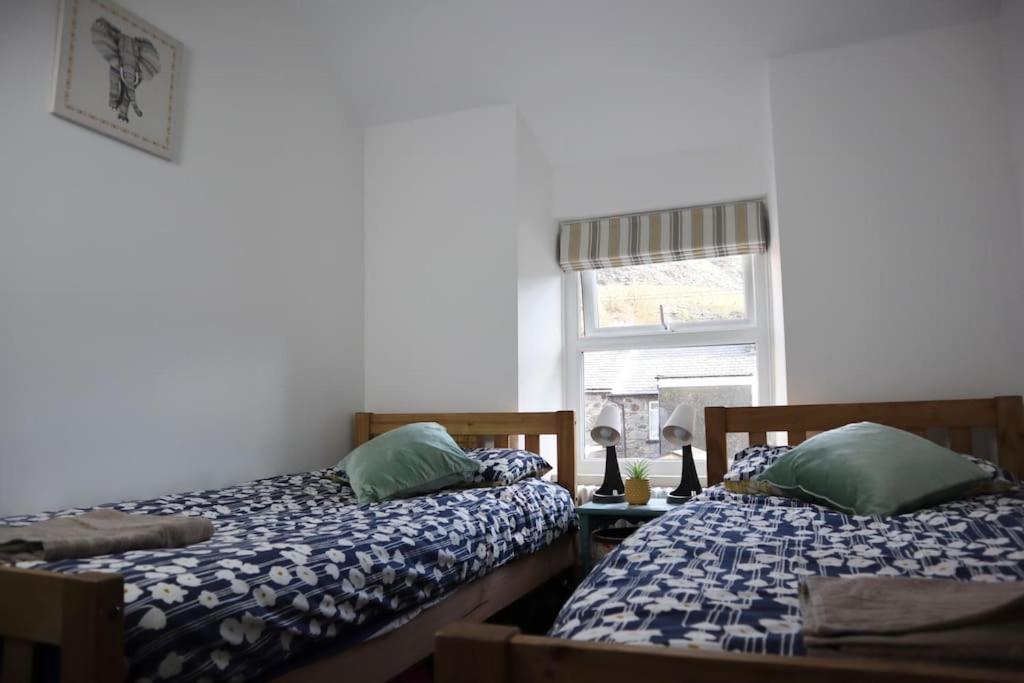 Dol Bach - Your Homely Welsh Cottage In The Heart Of Snowdonia Blaenau Ffestiniog Luaran gambar